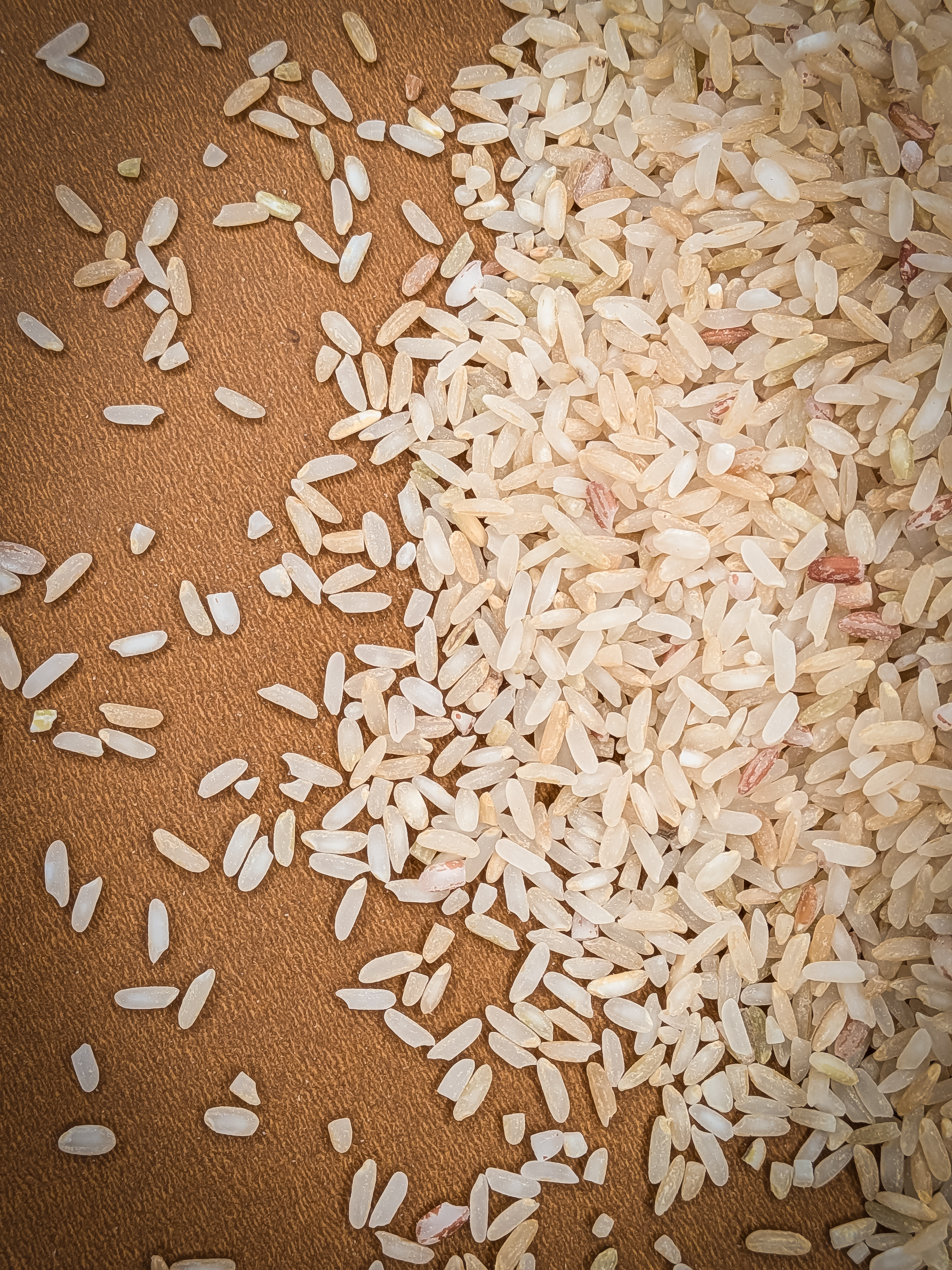 Narayana Kamini - Image 2